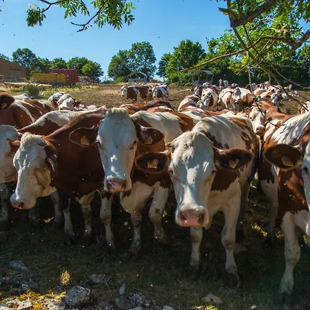 L'etable De Pierre Tatil Evi Nojaret