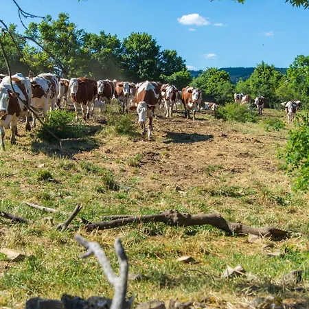 L'etable De Pierre Tatil Evi Nojaret