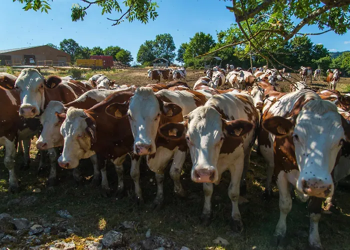 L'etable De Pierre بيت للعطل Nojaret