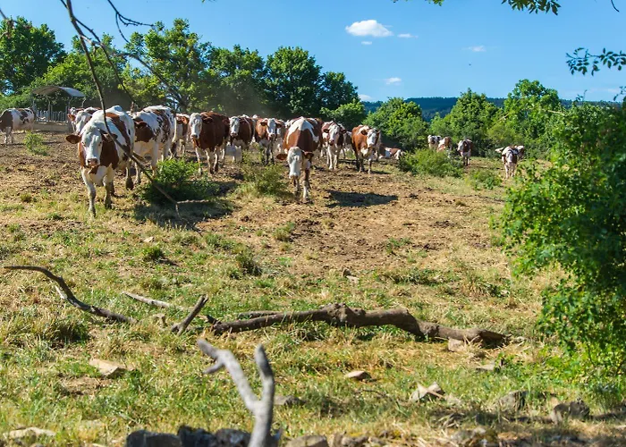 L'etable De Pierre بيت للعطل Nojaret